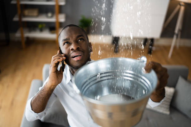 Best Carpet water damage restoration  in Laton, CA