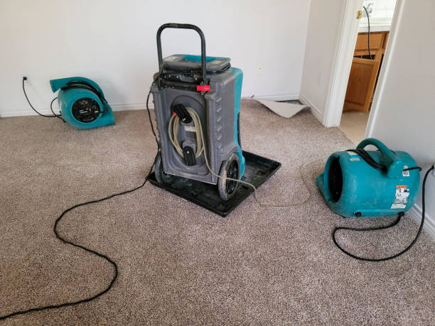 Best Commercial water damage restoration  in Laton, CA