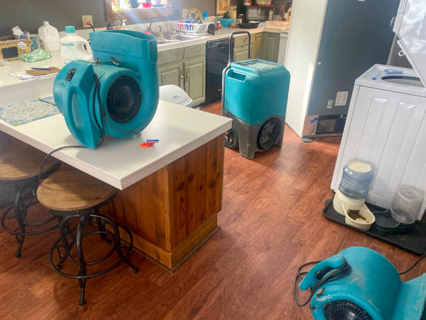 Best Flooded house restoration  in Laton, CA