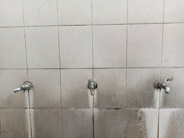 Best Flood damage cleanup  in Laton, CA