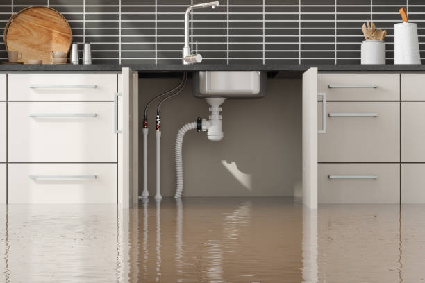 Best Local water damage restoration  in Laton, CA