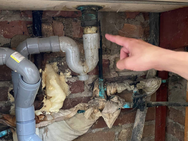 Best Water damage contractors near me  in Laton, CA