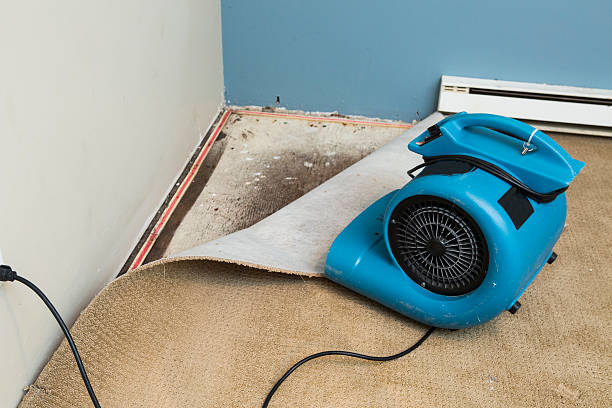 Best Sewage cleanup and water damage restoration  in Laton, CA